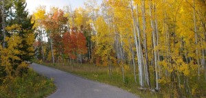 Jackson Hole Lodging Map